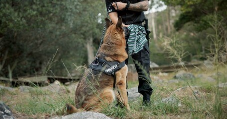 Policeman, sniffer dog or patrol a crime scene on field, first responder or law enforcement for...