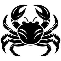 crab isolated on white