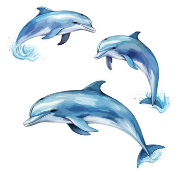 Watercolor Vector painting of Dolphin collection, isolated on a white background, Dolphin vector, Dolphin clipart, Dolphin art, Dolphin painting, Dolphin Graphic, drawing clipart.