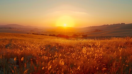 Sunset's golden rays enveloping the tranquil hills in a radiant summer glow