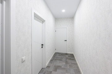 standard room interior apartment. room doors, renovation corridor lobby entrance hall