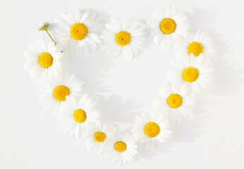 Daisies arranged in the shape of a heart on a white background