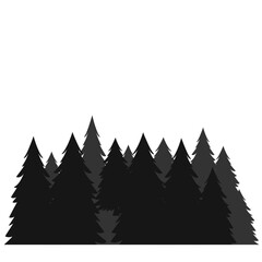 Obraz premium forest silhouette, realistic coniferous trees