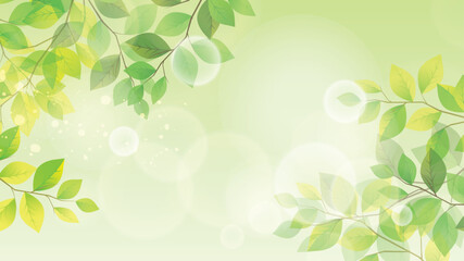 夏の涼しい和風新緑背景
