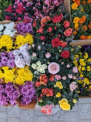 Many different flowers on Showcase. Background of mix of flowers. Beautiful flowers for catalog or online store. Floral shop and delivery concept.
