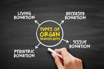 Types of Organ Transplants (medical procedure in which an organ is removed from one body and placed...