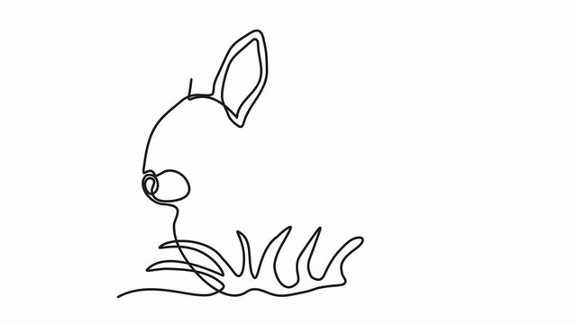 Self drawing animation with one continuous line draw, abstract rabbit or little hare 
