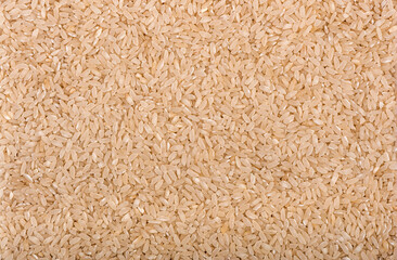 The texture of white long grain polished rice scattered on a flat surface.