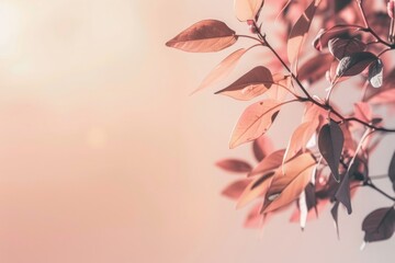 Elegant minimalist pale colours background with branch and copy space