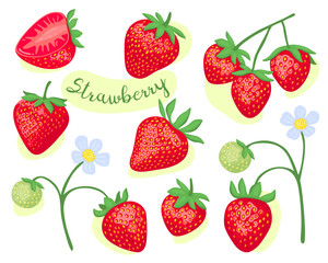 Strawberry. Set of illustrations of fresh red ripe berries. Strawberry half, slices and whole strawberries. Flowers and leaves. 