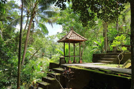 Green garden at Goa Gajah (Elephant Cave) Temple near Ubud, Bali, Indonesia