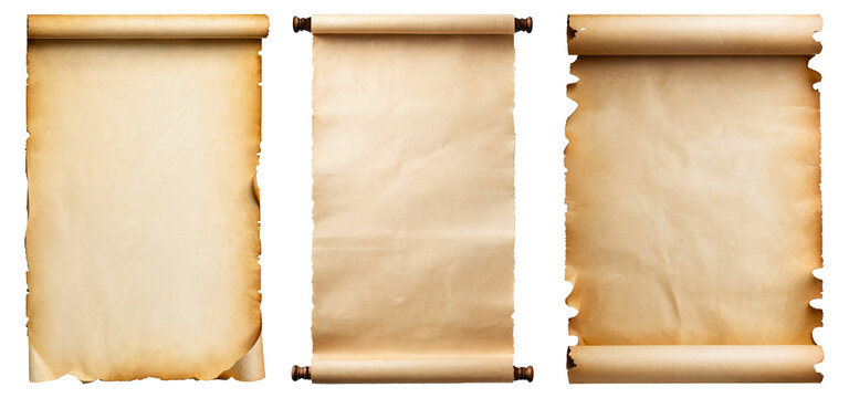 set of empty scroll, parchment
