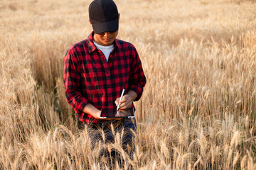 Farmer using digital tablet in barley field on sunny day, Smart farming, Business agriculture technology concept.