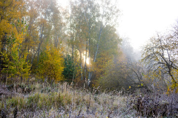 Fog on nature in the cold morning, autumn in November