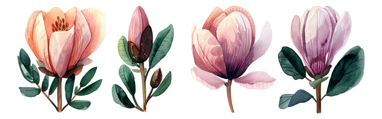 A collection of watercolor floral elements