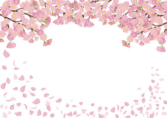 水彩風　満開の桜と花びら　背景3