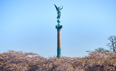 Angelic statue for the fallen in war saluting high on blooming pink cherry flowers conveys peace...