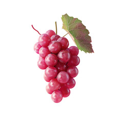 Fototapeta premium Grapes with a leaf on a stem