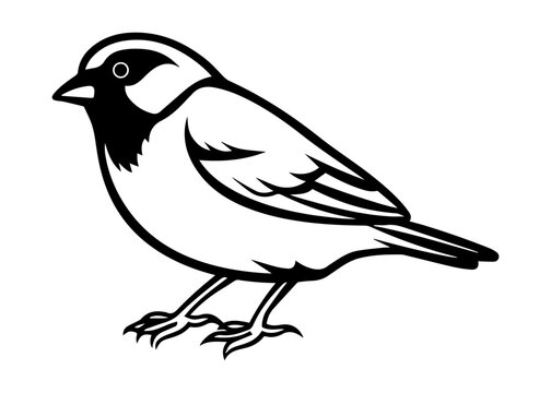 recommend clip art: finch silhouette vector illustration