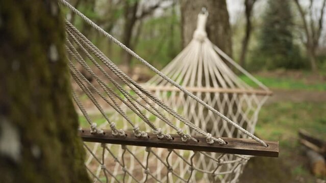 Empty hammock in wooded area in spring, closeup