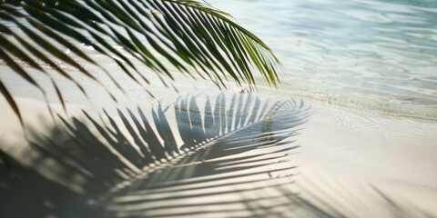 Obraz premium A palm tree casts a shadow on a sunny beach, creating a contrast of light and shade
