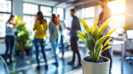 A potted plant placed on top of a table in a bright modern office space. In the background, blurry managers are celebrating a successful day
 - obrazy, fototapety, plakaty