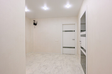 standard room interior apartment. room doors, renovation corridor lobby entrance hall
