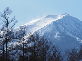 富士山と麓に存在する原生林