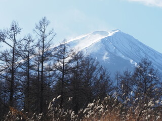 富士山と麓に存在する原生林