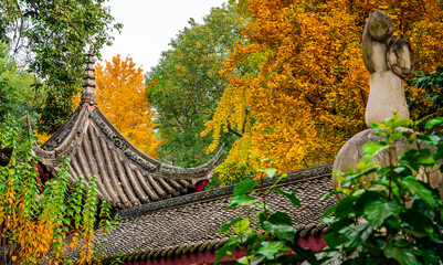 Wenshu Temple, Chengdu, China - 775760335