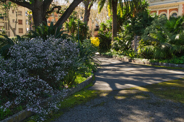 Menton Park in spring, C&ocirc;te d'Azur, Alpes Maritimes