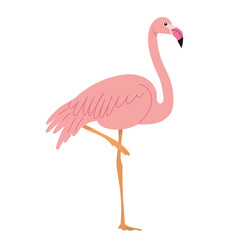 pink flamingo in flat style, isolated on white background vector