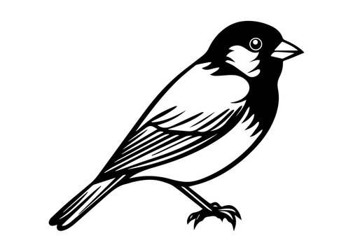 recommend clip art: finch silhouette vector illustration