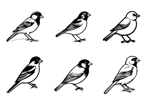 set of silhouettes of birds Vector illustration silhouette image icon