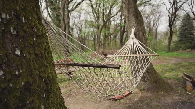 Empty hammock in wooded area in spring