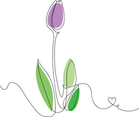 Tulip flower one line art vector illustration. Hand drawn flowers. Botanical art.