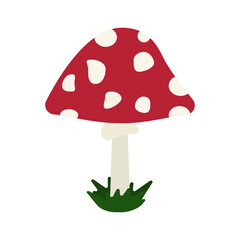 fly agaric mushroom red with white spots