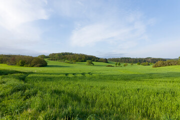 Obraz premium Auf dem Erzgebirgskamm bei Adolfsgrün im Grenzgebiet