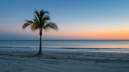 Fototapeta na wymiar Palm Tree on Beach at Sunset