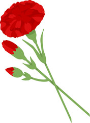 Red carnation on transparent background. Vector illustration for decoration of postcard for May 9th