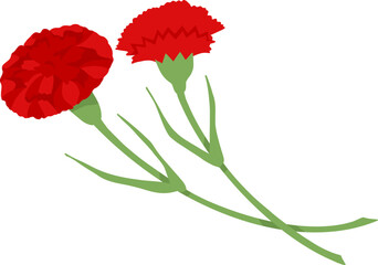 Red carnation on transparent background. Vector illustration for decoration of postcard for May 9th