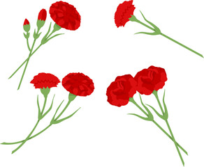 Red carnation on transparent background. Set of illustrations for design of postcard for May 9th