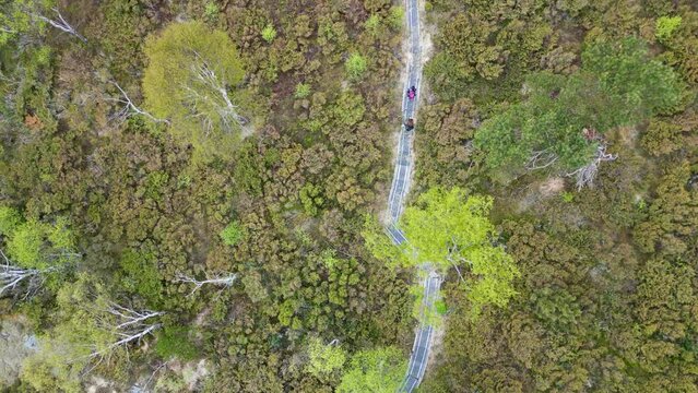 Forest path leading up to Stolanuten hill top in Nedstrand, Norway, 4K drone.