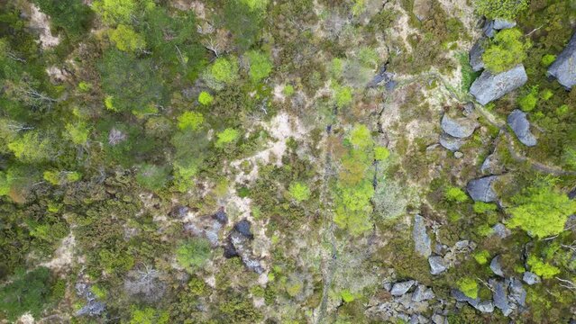 Forest path leading up to Stolanuten hill top in Nedstrand, Norway, 4K drone.