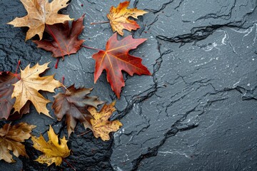 Colorful Autumn Foliage Against Dark Stone, Fall Atmosphere