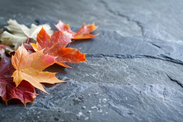 Artistic Composition of Fall Leaves on Textured Slate