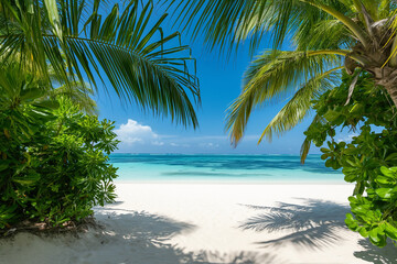 Deserted tropical beach with white sand