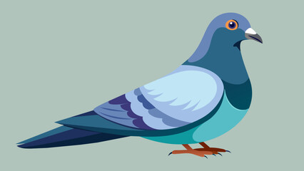 illustration of a pigeon
