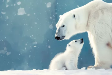 Tischdecke a polar bear and cub are in the snow © Irina