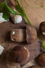 Selective focus on beautyfull porcini mushroom among the pile of wild porcini mushrooms on wooden background at autumn season..